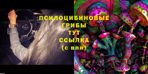 дурь Волоколамск