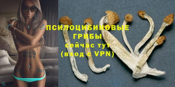 дурь Волоколамск