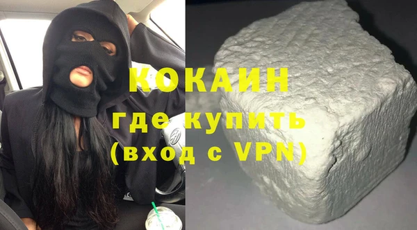 дживик Тында