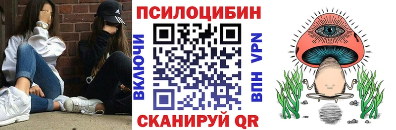 магазин    Жирновск  kraken tor  Псилоцибиновые грибы GOLDEN TEACHER 